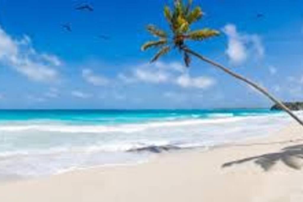 Апартаменти Waterview Oasis Retreat, Minutes To Anna Maria Island And Img Брейдентон Екстер'єр фото